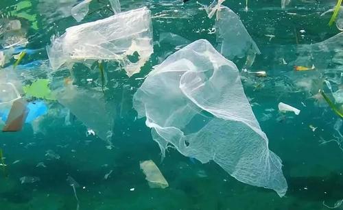 海洋微塑料污染现状及调查研究解决方案
